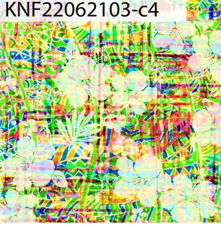 GTEX Collection KNF 03 - Polynesian Fabric - Abstract Tribal Hibiscus , Hawaiian, Island Fabric - Sold by the Yard -  FDY Fabric 58" | Gtex Fabrics