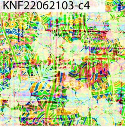 GTEX Collection KNF 03 - Polynesian Fabric - Abstract Tribal Hibiscus , Hawaiian, Island Fabric - Sold by the Yard -  FDY Fabric 58" | Gtex Fabrics