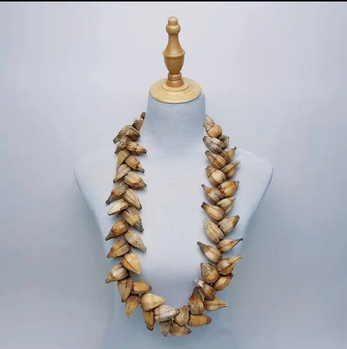 Polynesian, Samoan, Tongan Men's Traditional - Ula Fala Necklace - Natural Seed Jewelry Neckpiece Design - 40" Length - Handmade | Gtex Fabrics