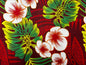 Polynesian Hibiscus & Monstera Fabric – 100% Cotton | 45" Wide | Tropical Island Print | Sold by Yard or Roll | Made in Thailand  | Gtex Fabrics