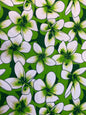 New Aloha Print - Tropical Floral Polynesian Hawaiian Fabric by The Yard or Roll 45" Wide | Gtex Fabrics