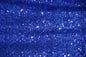 Backdrop Shinny Glitz Sequin Fabric (3mm) Sequin on Poly Mesh 54"-60" Wide, Event Decor, Back Drop, Decoration Fabric, Diamond, Table Cover  | Gtex Fabrics