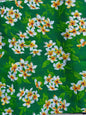 Roll, Bolt - Polynesian Elegance: 36" Polyester Fabric with Poly Cotton Feel– | Gtex Fabrics