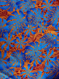 Hawaiian Tropical Hibiscus Polynesian Fabric - Peach Skin Fabric- by the Yard 58" Wide - New Design - Island Fabric 546 | Gtex Fabrics