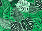 Monstera Leaf Fabric – Green Poly Cotton Blend Fabric, 44” Wide Tropical Island Print by the Yard